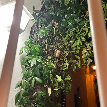 Dimora Anma Apartment Nardo